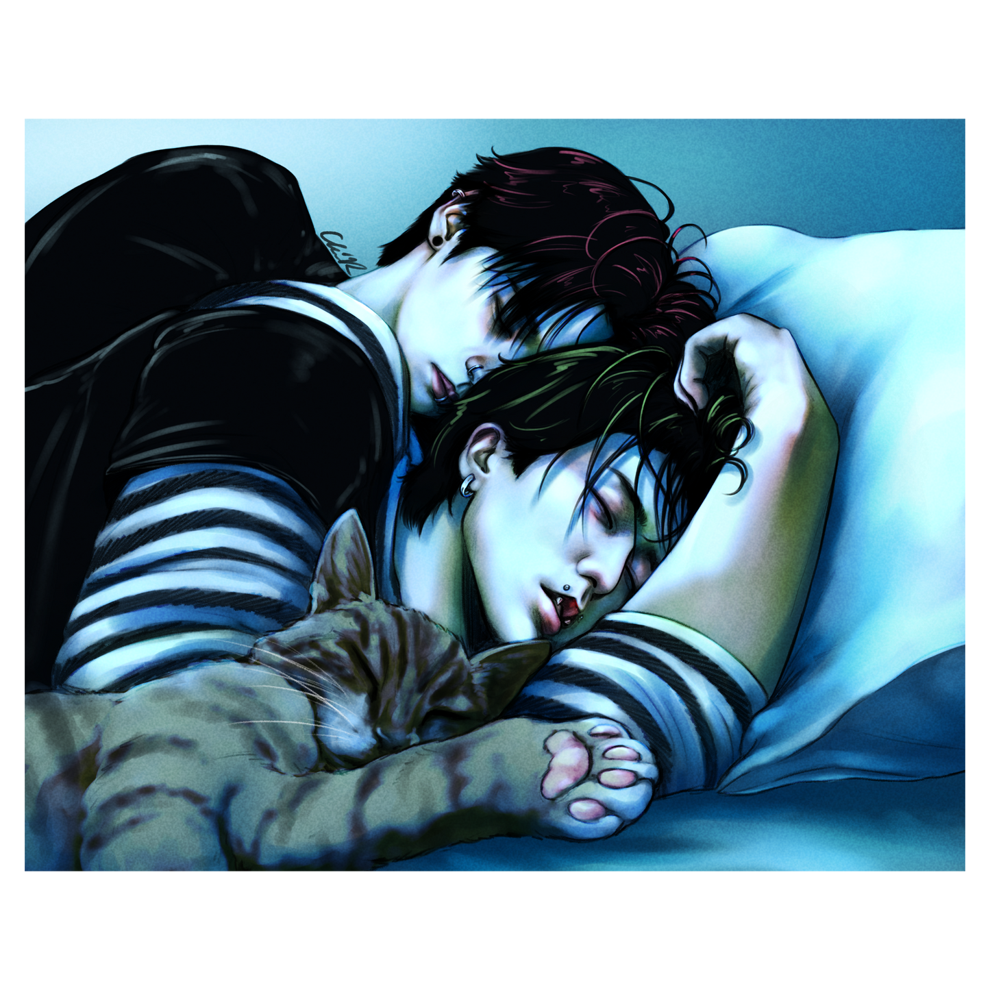 Cat Nap