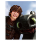 HTTYD - IN-STOCKS