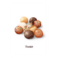 SKZOO x TIMMIES - In-Stocks!